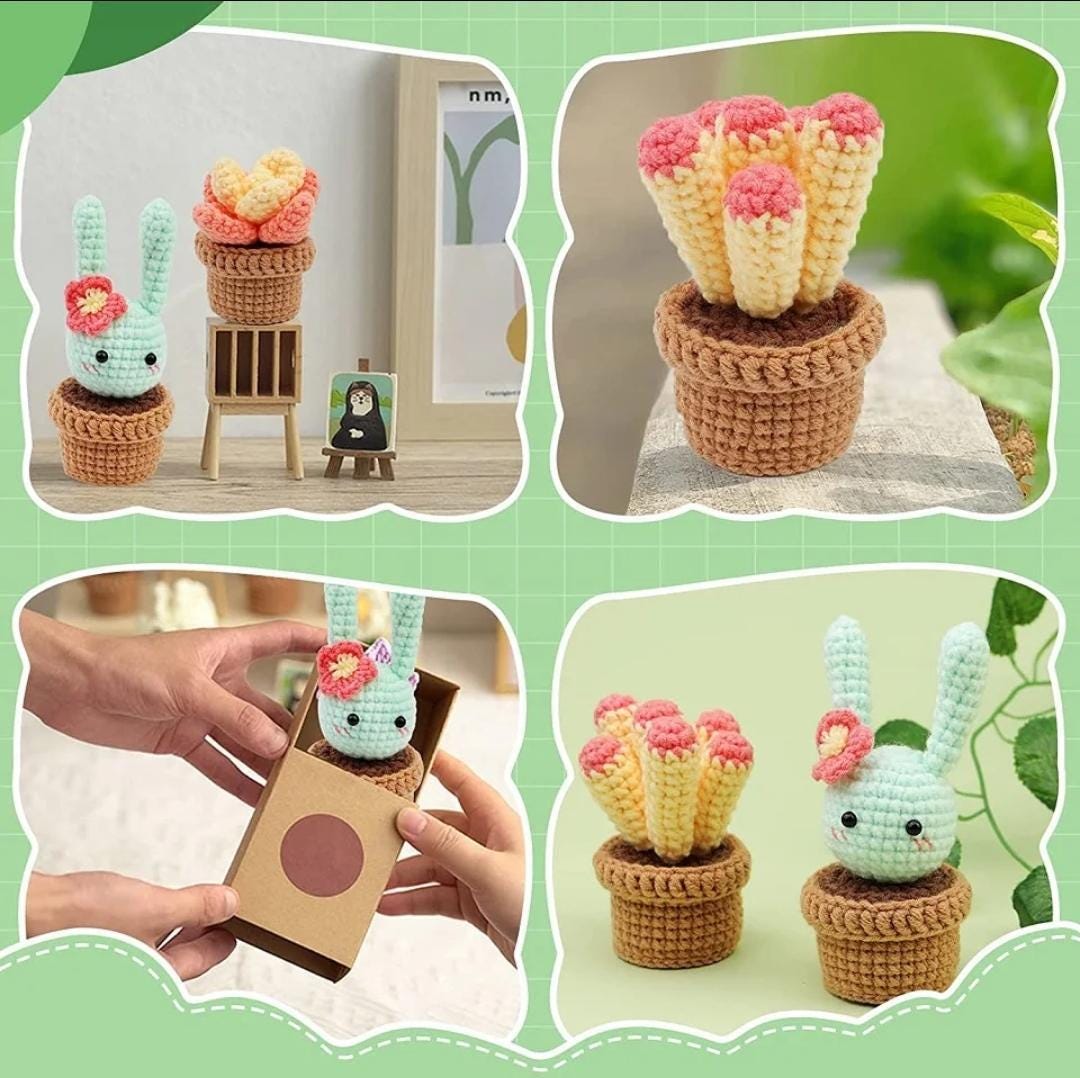 Cactus & amigurumi crochet kit | beginner diy craft set for adults | crochet starter gift