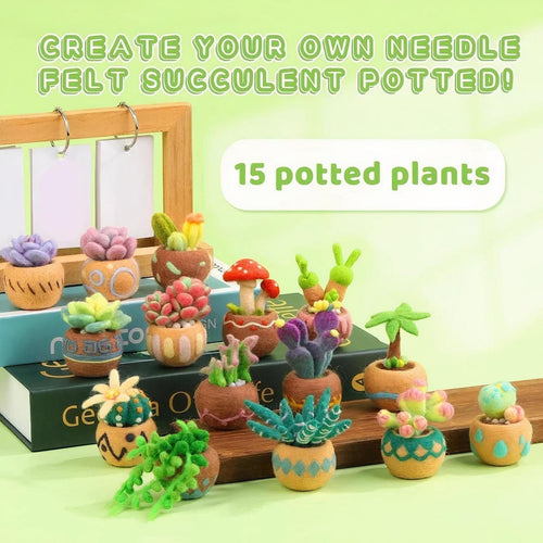 DIY Needle Felting Kit for Beginners Succulent Plants - 15 Potted Designs, 44 Colourful Wools, Complete Craft Kit with Tools & guide