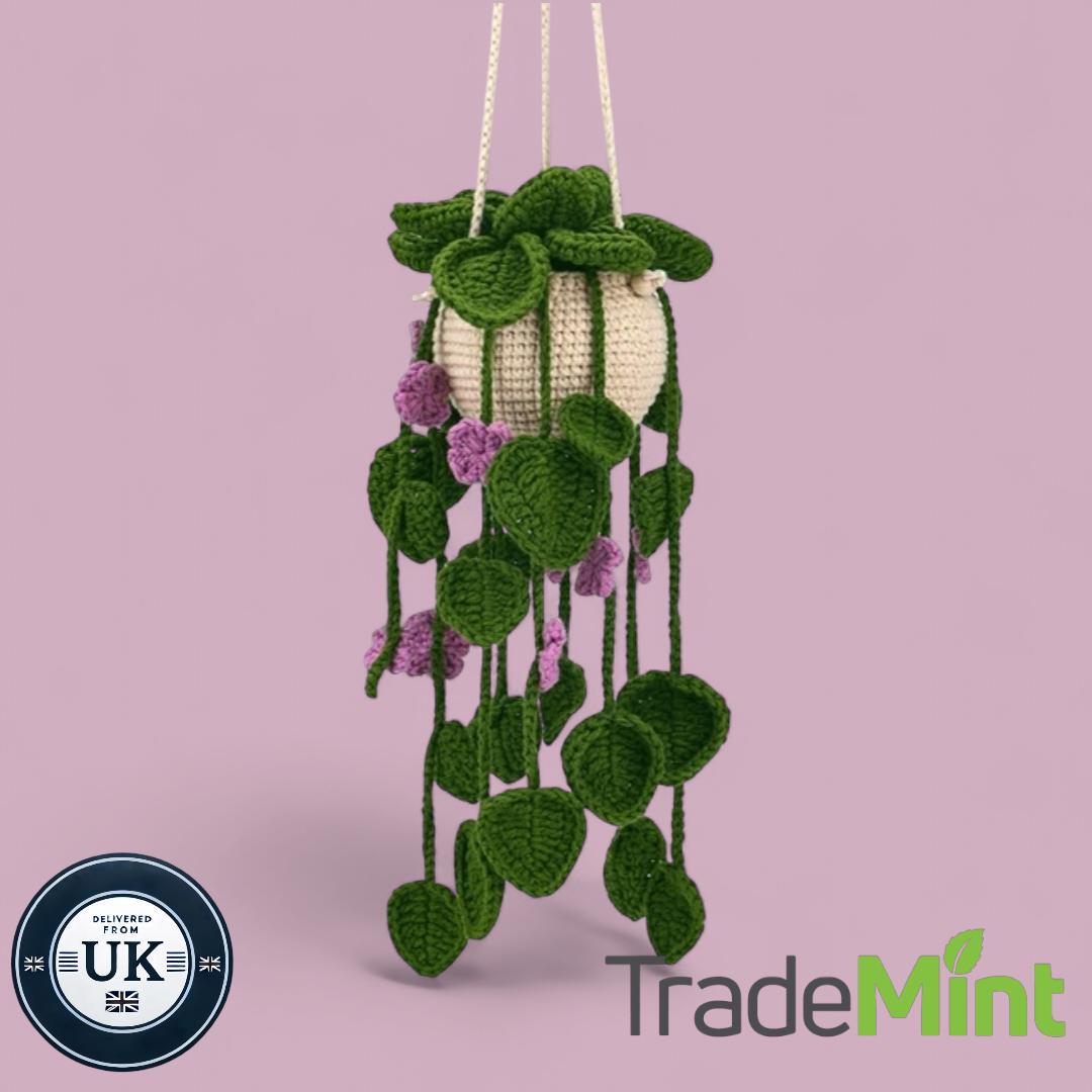 Crochet hanging vine plant kit with purple flowers | beginner-friendly diy craft set