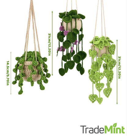 Three crocheted hanging plant designs with trailing green leaves and purple flower option, shown with height measurements.