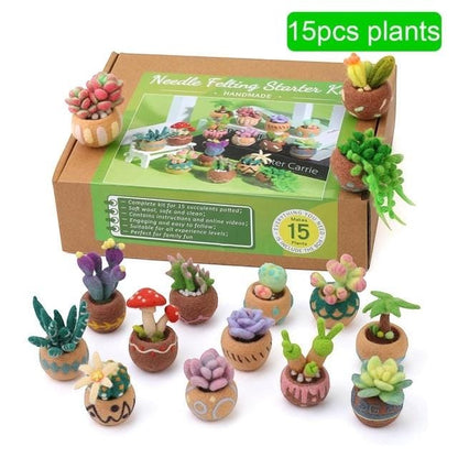 Needle felting succulent kit box with fifteen small completed potted felt plants arranged in front.