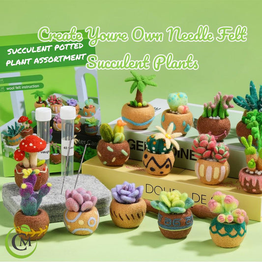DIY Needle Felting Kit for Beginners Succulent Plants - 15 Potted Designs, 44 Colourful Wools, Complete Craft Kit with Tools & guide