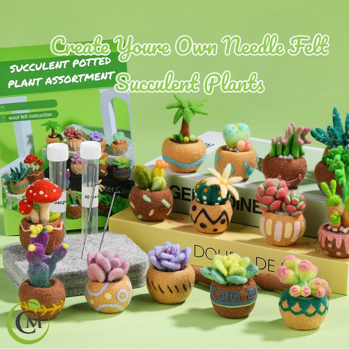 DIY Needle Felting Kit for Beginners Succulent Plants - 15 Potted Designs, 44 Colourful Wools, Complete Craft Kit with Tools & guide