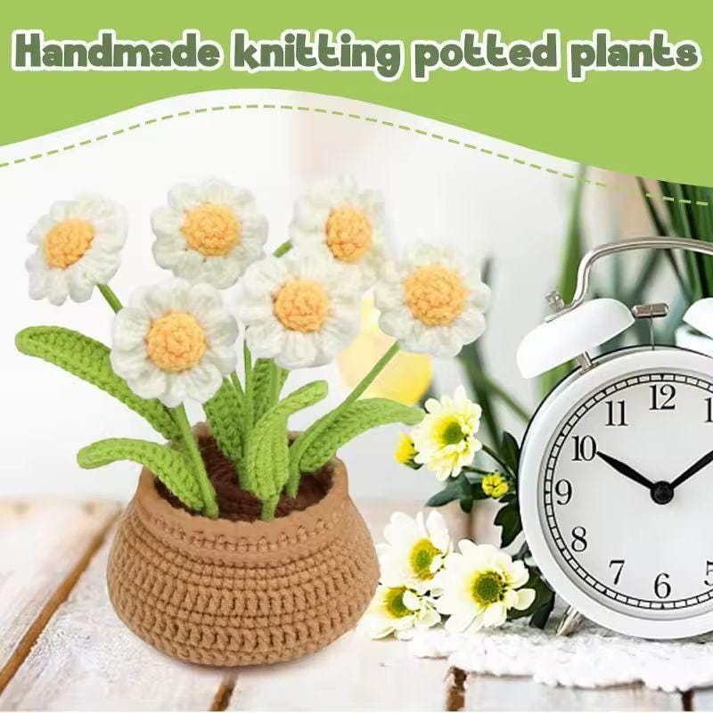 DIY Crochet Flower Kit – Beginner-Friendly Yarn Craft | Tulip, Daisy & Bluebell Crochet Set | Handmade Floral Home Decor
