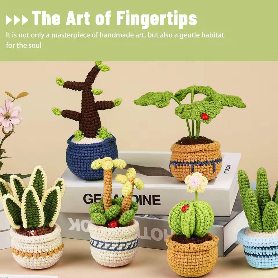 Crochet Succulent Kit for Beginners | 6 Potted Plant DIY Set with Yarn, Tools and Instructions | Handmade Gift for Adults & Crafters