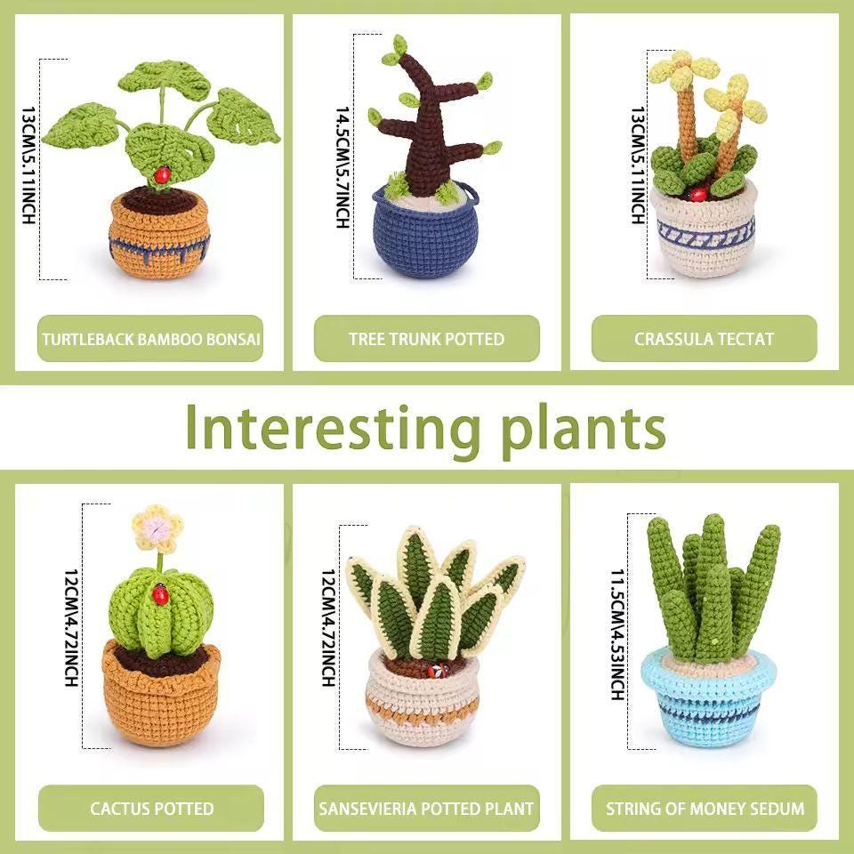 Crochet Succulent Kit for Beginners | 6 Potted Plant DIY Set with Yarn, Tools and Instructions | Handmade Gift for Adults & Crafters