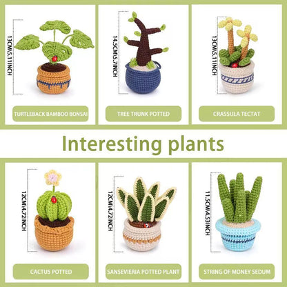 Size comparison of six crocheted potted plants showing approximate heights from 11.5 to 17 cm.