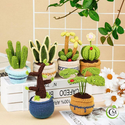 Crochet Succulent Kit for Beginners | 6 Potted Plant DIY Set with Yarn, Tools and Instructions | Handmade Gift for Adults & Crafters