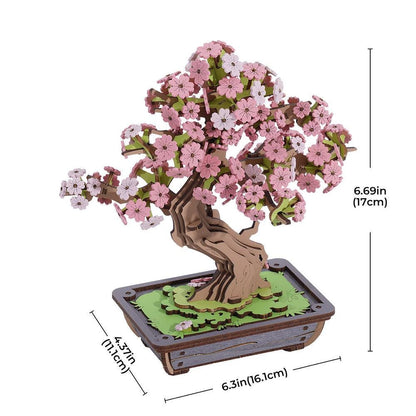 Sakura bonsai wooden puzzle size diagram showing 17 cm height and 16.1 cm length.