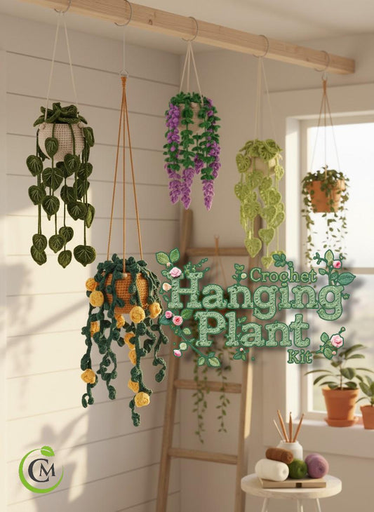 Crochet Hanging Plant Kit for Beginners | DIY Hanging Vine Plant Kit, Crochet Flower Plant, Handmade Home Decor Gift