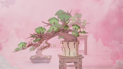 Video for Rolife Bonsai 3D Wooden Puzzle Kit