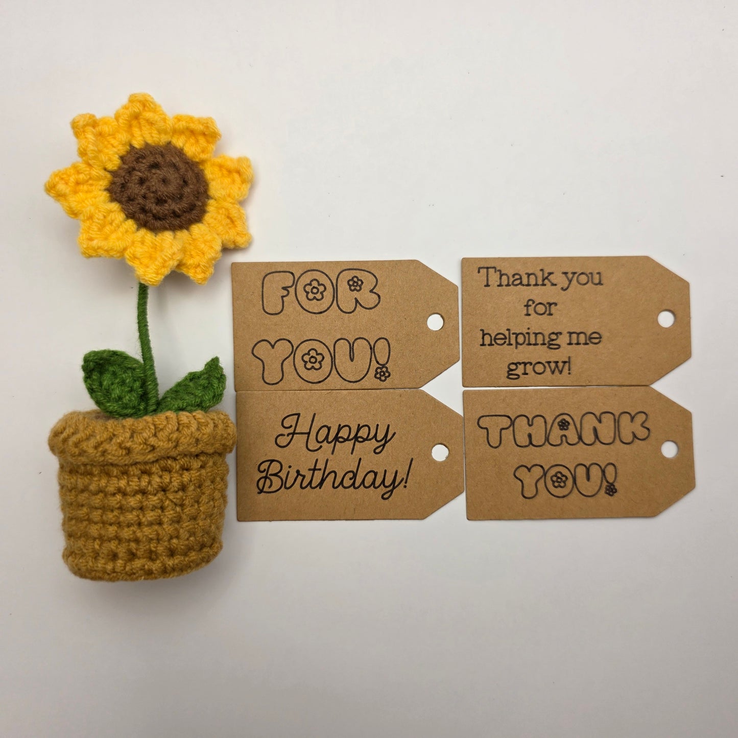 Mini Crochet Potted Plant | Handmade Teacher Gift, Birthday Gift, Thank You Gift, Desk Décor, Cute Home Gift, Crochet Flower